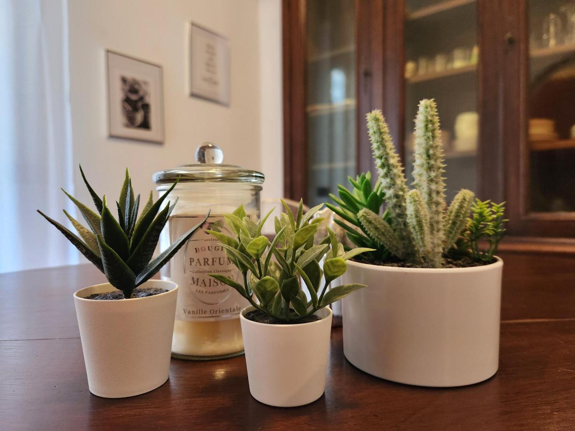 Classy Homes - A Due Passi Dal Mare Apartment